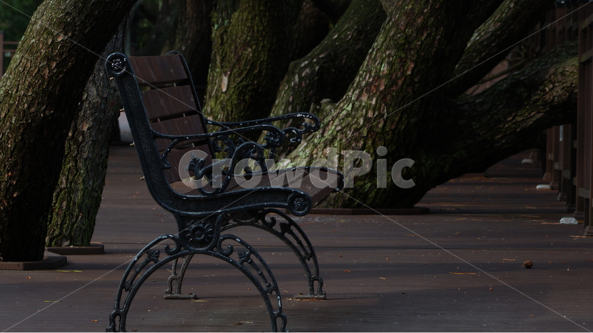 벤치,의자,사물,공원,감성,휴식,힐링,rest,relaxation,healing