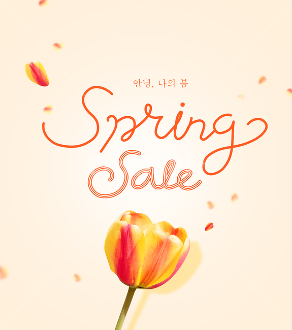 튤립,캘리,캘리그라피,손글씨,붓글씨,펜글씨,영문캘리,꽃,꽃잎,봄꽃,봄,계절,시즌,프레임,템플릿,탬플릿,봄,계절,spring,season,그래픽,일러스트레이션,graphic,illustration