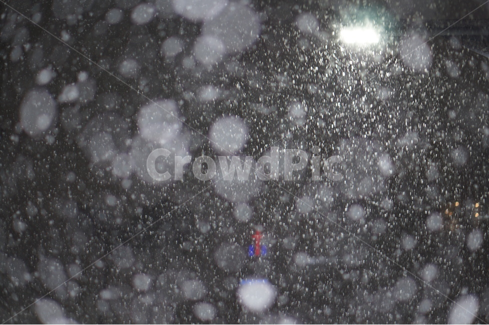 눈,야경,보케,밤,겨울,풍경,자연,풍경,nature,landscape,야경,밤,nightscape,night,outdoors,옥외,storm,폭풍,snow,winter,blizzard,눈보라