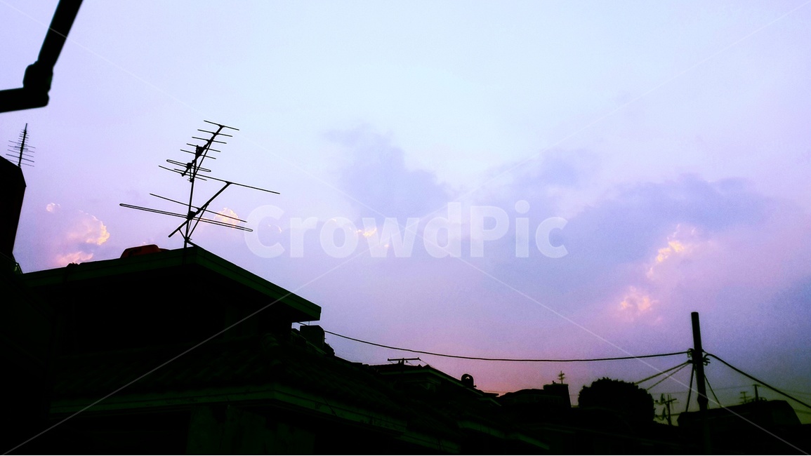 하늘,보라색,보라,보랏빛,저녁,저녁하늘,실루엣,그림자,silhouette,shadow