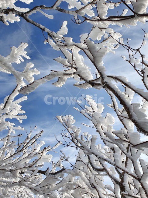 설산,눈,눈꽃,snowmountain,suricacid,tree,나무,plant,식물,outdoors,nature,자연,빙,ice,덕유산,겨울,계절,winter,season