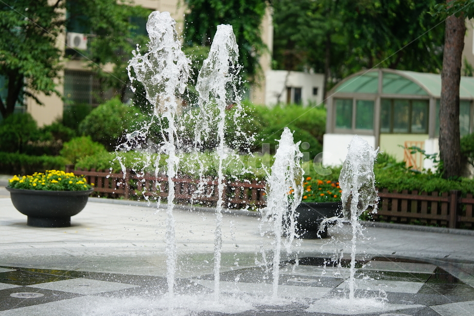 분수,물,물줄기,여름,계절,water,순간,순간포착,더위,summer,여름,계절,summer,season,fountain