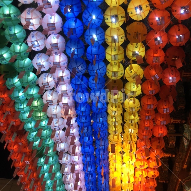 조명,불교,연등회,절,부처님,불교행사,연등,연등축제,종교,신앙,religion,belief,faith,축제,행사,festival,carnival,event