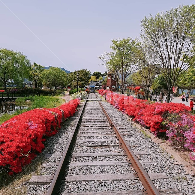 기차,레일바이크,자연,풍경,경치,교통,교통수단,traffic,transportation