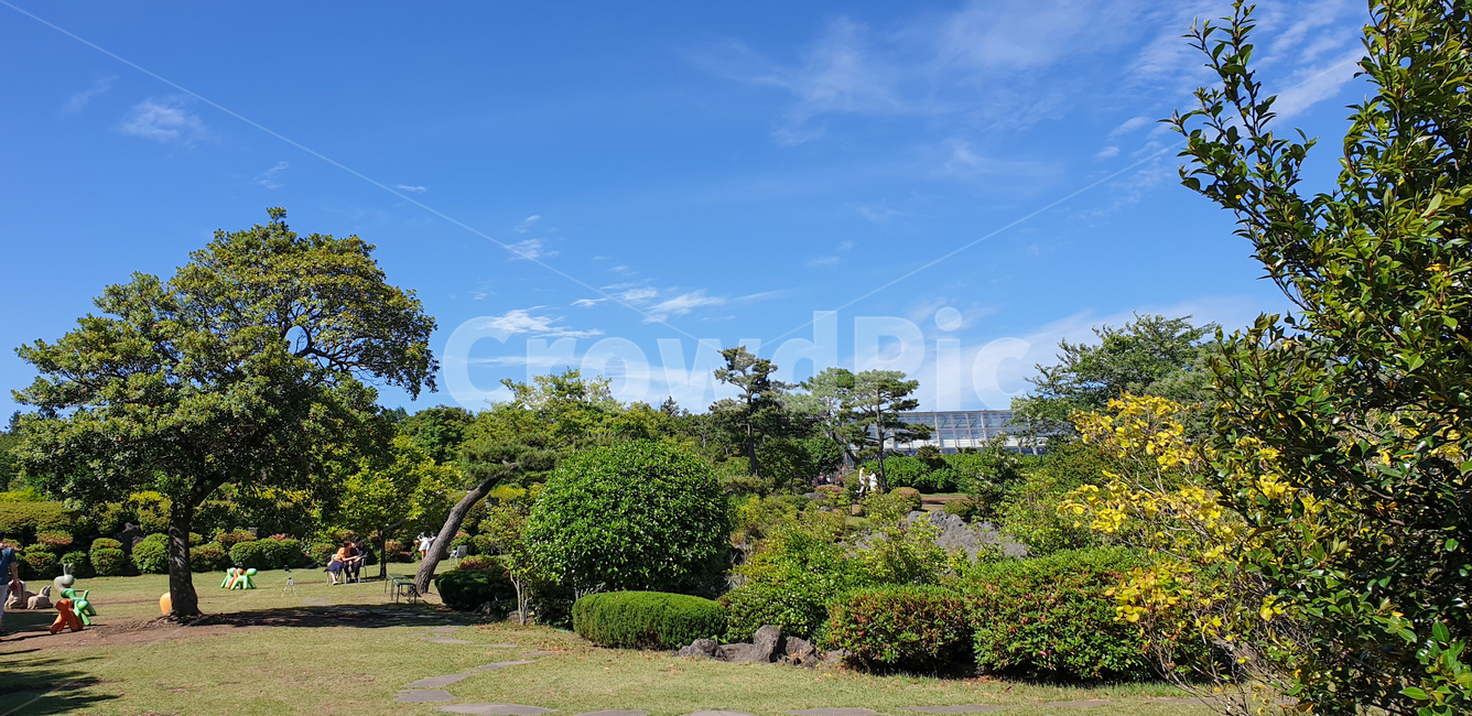 garden,예쁜조경,파란하늘,봄,예쁜공원,제주,힐링,숲,공원