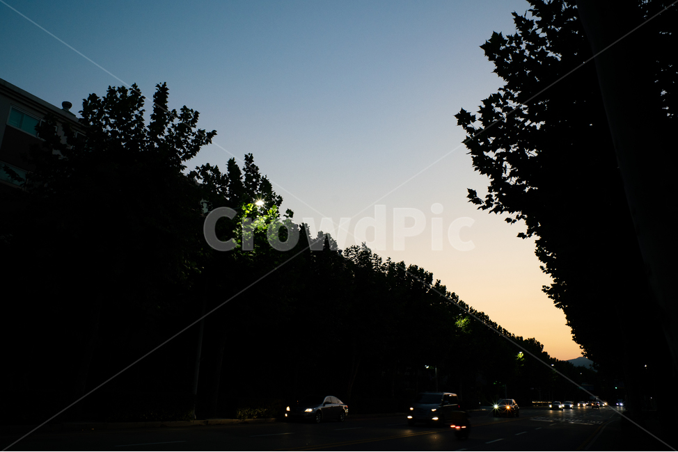 하늘,노을,풍경,sky,sunset,landscape,옥외,outdoors