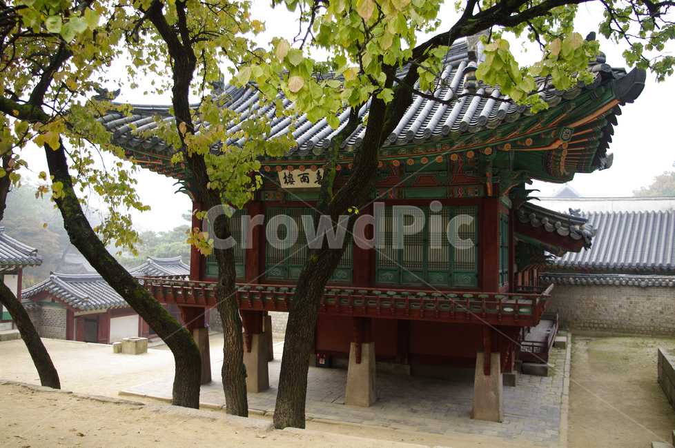 창덕궁,고궁,건축,전통건축,traditional,전통,단청,기와지붕,가을,fall,나무,식물,plant,단풍,한국전통,한국문화,korean traditional,korean culture,랜드마크,landmark,tourist attraction,한국랜드마크,한국관광지,한국명소,korea landmark,korea tourist attraction,건축물,건물외관,exterior,building,structure,architecture,construction