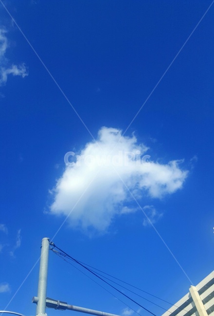 자연,sky,하늘,푸른하늘,구름