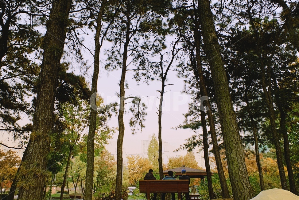 휴식,공원,park,나무,tree,사람,벤치,여유,힐링