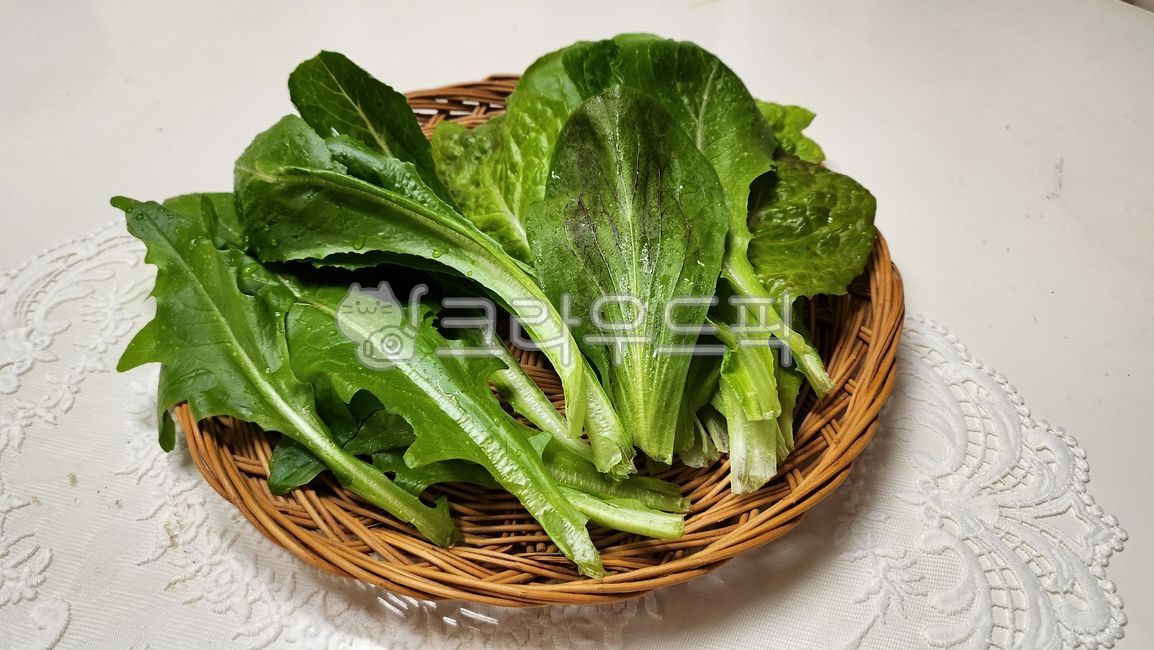 채소, 상추, lettuce, vegetable, 음식, 사진,이미지,일러스트,캘리그라피 - Nancydancy작가