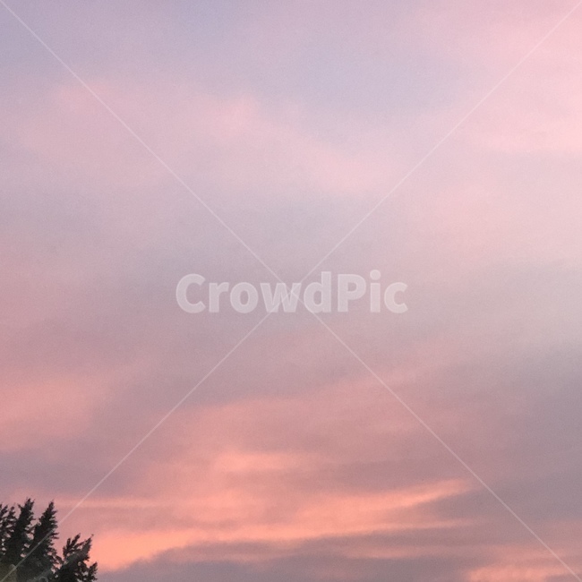 노을,주황하늘,선셋,sunset,나무