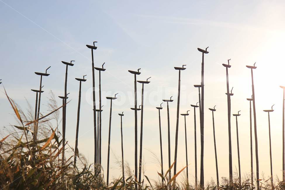 하늘,솟대,일몰,전통,조각상,sky,해지는하늘,sunset,막대,koreanculture,한국전통,한국전통,한국문화,korean traditional,korean culture,조각상,동상,석상,조형물,statue,bronze statue,stone statue