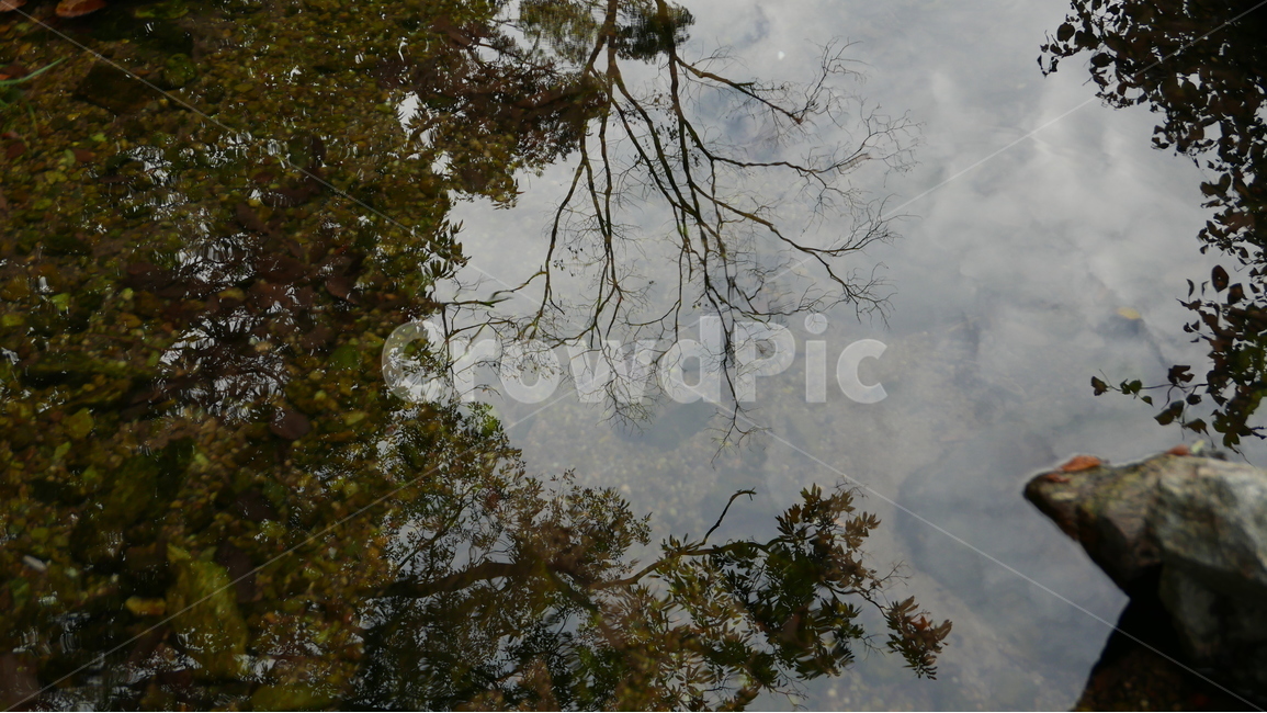나뭇,물과하늘,물에비친나무,물,계곡,자연,풍경,nature,landscape,tree,나무,plant,식물