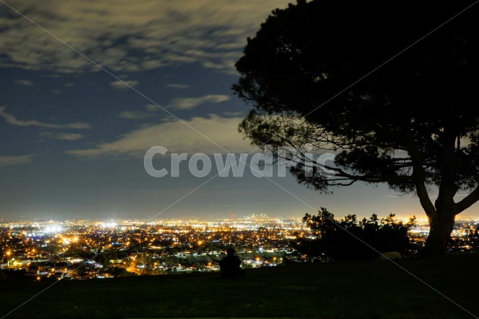 도시,야경,city,nightscape,skyline,LosAngeles,USA,UnitedStates,미국,로스앤젤러스,LA,Sky,하늘,Tree,나무,Cloud,구름,불빛,Lights,야경,밤,풍경,nightscape,night,landscape,도시,city,식물,자연,plants,nature,나무,trees,wood,사람,인물,인간,human,person,인물실루엣,사람실루엣,character silhouette,human silhouette,고독함,외로움,쓸쓸함,우울함,슬픔,lonely,solitary,경치,outdoors,옥외,scenery,building,건물,urban,어반,metropolis,중심지,시티,town