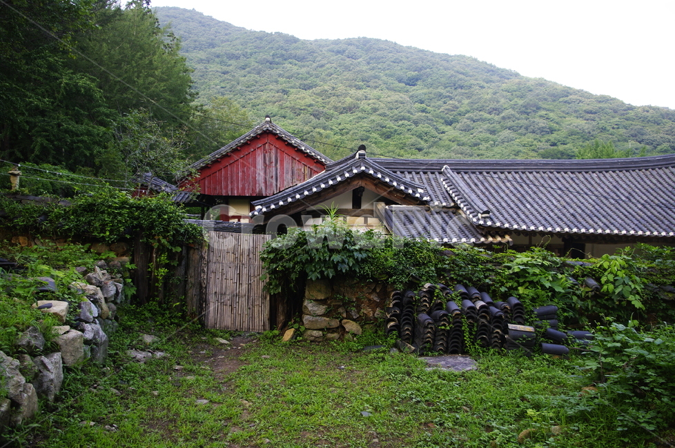 선암사,사찰,건축,전통건축,traditional,전통,기와지붕,풍경,초록,나무,자연,풍경,nature,landscape,한국전통,한국문화,korean traditional,korean culture,outdoors,옥외