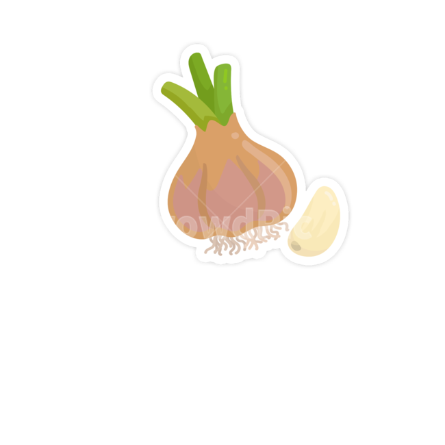 plant,vegetable,야채,food,음식,마늘,그래픽,일러스트레이션,graphic,illustration