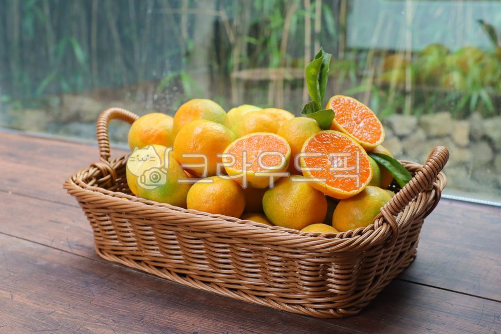 citrusfruit, 음식, food, orange, 감귤류과일, 사진,이미지,일러스트,캘리그라피 - elisha작가