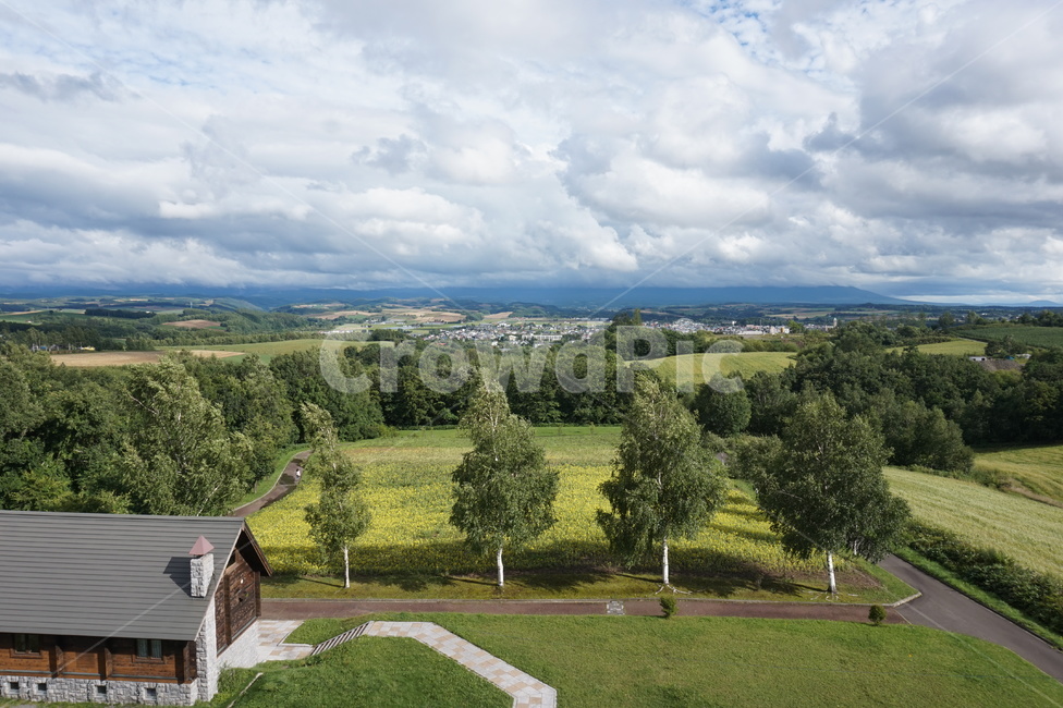 일본,홋카이도,북해도,풍경,나무,마을,하늘,집,자연,풍경,nature,landscape,outdoors,옥외,tree,fir,전나무,plant,식물