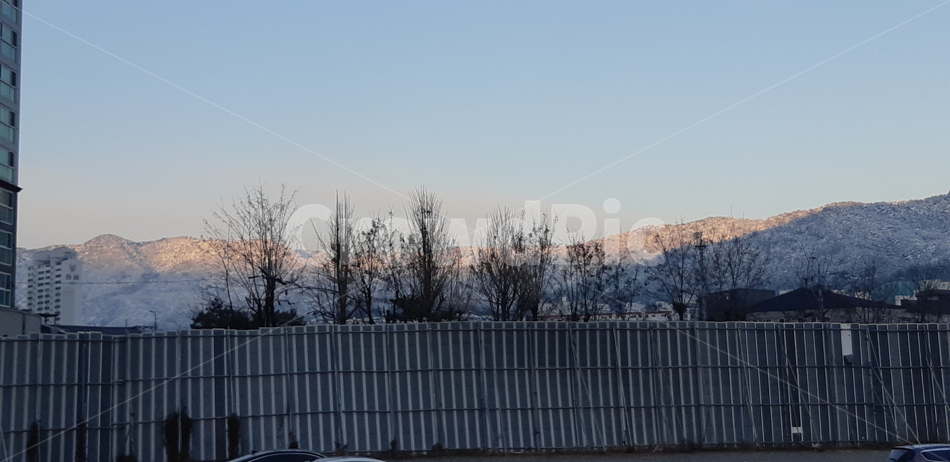 첫눈,눈,눈덮힌산,2019년,겨울,1월,뒷산,눈덮힌뒷산