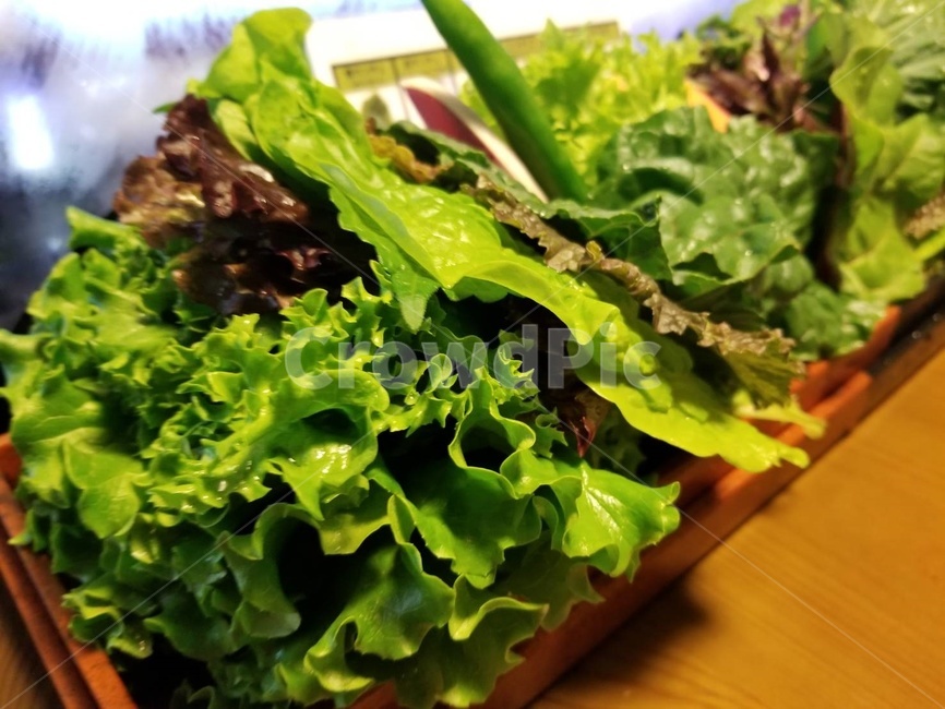 food,식품,vegetable,야채,lettuce,상추,음식,식재료,요리,food,cook,meal,dishes,food reserves,채소,야채,vegetables