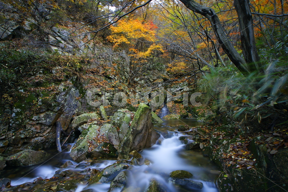 대둔산,가을,단풍,계류,논산,가을,계절,fall,autumn,season,자연,풍경,nature,landscape,water,물,outdoors,옥외,stream,흐름,creek,작은 만