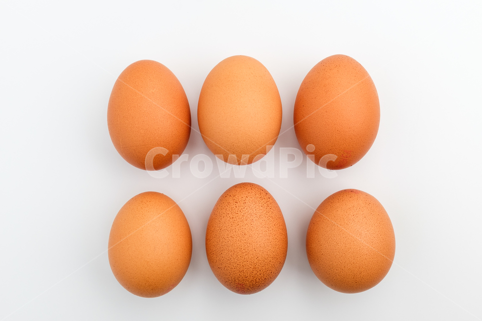 계란,달걀,알,동물알,신선한,날것,음식,식품,음식재료,식재료,재료,건강한,단백질,식생활,식사,껍질,달걀껍질,요리,무정란,닭알,음식,식재료,요리,food,cook,meal,dishes,food reserves