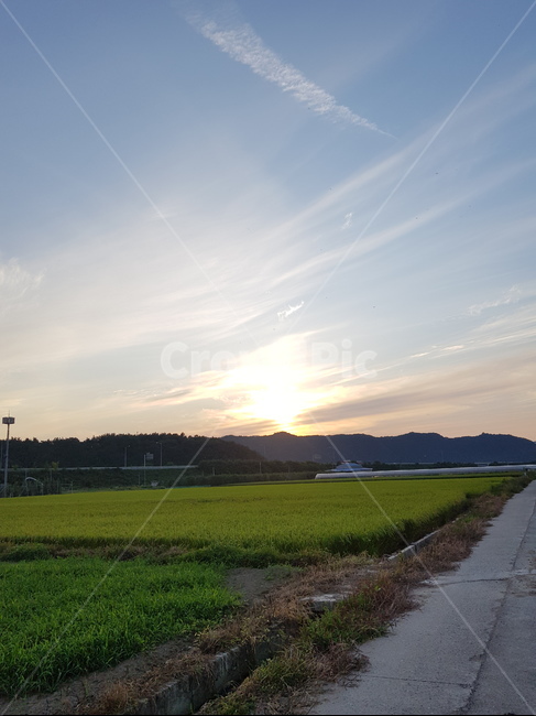 자연,nature,sky,하늘,구름,논,벼,석양,자연,풍경,nature,landscape