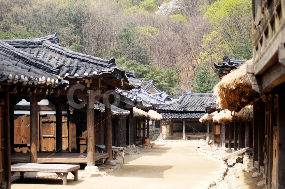 시골,마을,기와집,전통,촬영장,세트장,한국전통,한국문화,korean traditional,korean culture