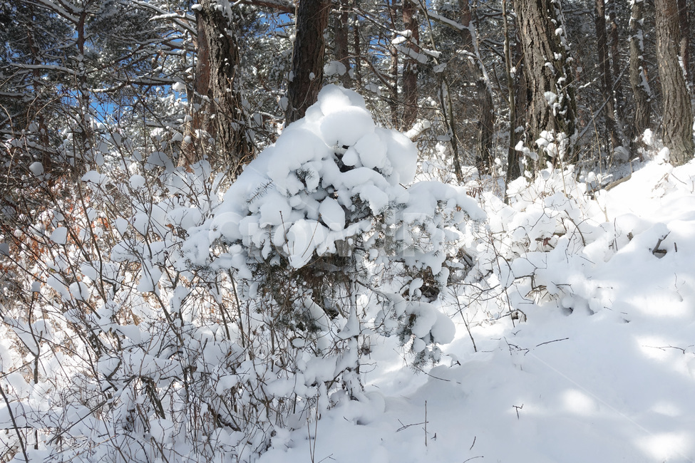 눈,설경,자연,겨울,눈꽃,snow,전북의산,완주군,모악산,겨울,계절,winter,season