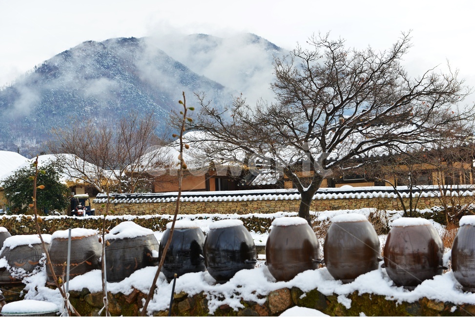 전남,순천,낙안읍성,민속마을,낙안읍성민속마을,운해,설경,낙안읍성설경,겨울,계절,nature,자연,outdoors,옥외,ice,빙,항아리,옹기,장독대,장독,간장독,된장독,초가집,초가지붕,농촌,담장,돌담장
