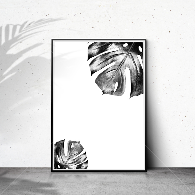 shadow,photo frame,space,summer,background image,palm tree,monstera,background,interring,silhouette,floor,poster,wall,Grayscale,Photo Frame,frame