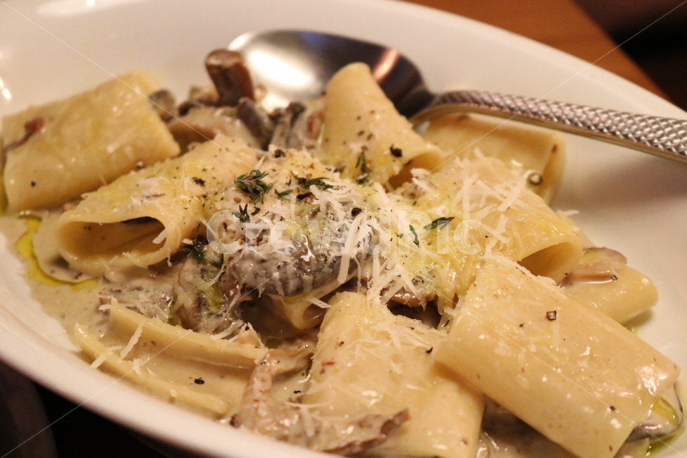 파스타,양식,리가토니,크림파스타,pasta,creampasta,음식