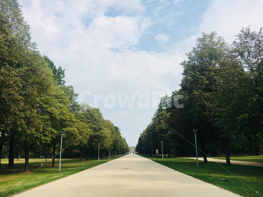 수직선,길,나무,공원,드레스덴,독일,유럽,자연,풍경,nature,landscape,road,도로
