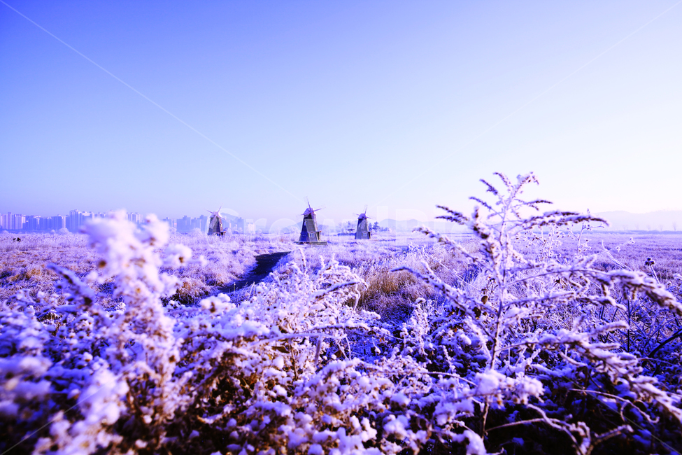 자연,풍차,상고대,눈,풍경,겨울,계절,winter,season,자연,풍경,nature,landscape,한국자연풍경,한국자연경관,korea nature landscape,색깔,색상,색채,색감,color sense,color sensitivity,feeling of color,outdoors,옥외,ice,빙