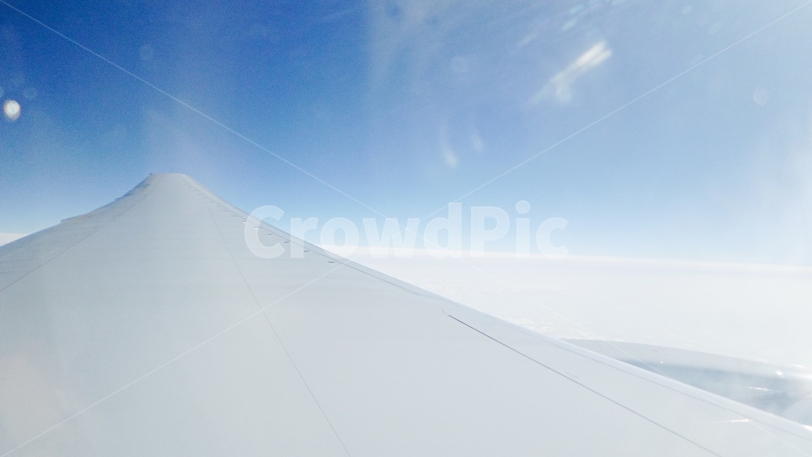 비행기,하늘,파란하늘,구름,햇빛,여행,창문,airplane,sky,bluesky,cloud,sunshine,travel,window,화창함,교통,교통수단,traffic,transportation
