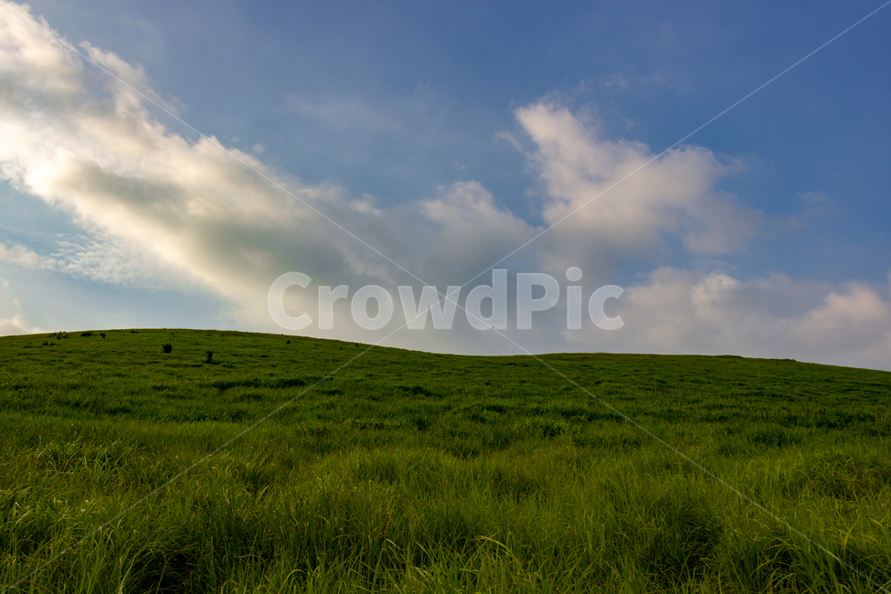 오름,언덕,하늘,초록,푸른하늘,구름,hill,sky,green,blue,자연,풍경,nature,landscape,outdoors,옥외,grassland,목초지,field,들