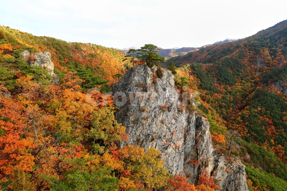암봉,주왕산,단풍,가을,산,가을,계절,fall,autumn,season,자연,풍경,nature,landscape,한국자연풍경,한국자연경관,korea nature landscape,outdoors,옥외,plant,식물,tree,나무,mountain
