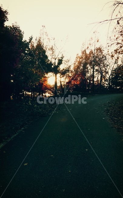 flare,빛,light,플레어,골목,노을,길