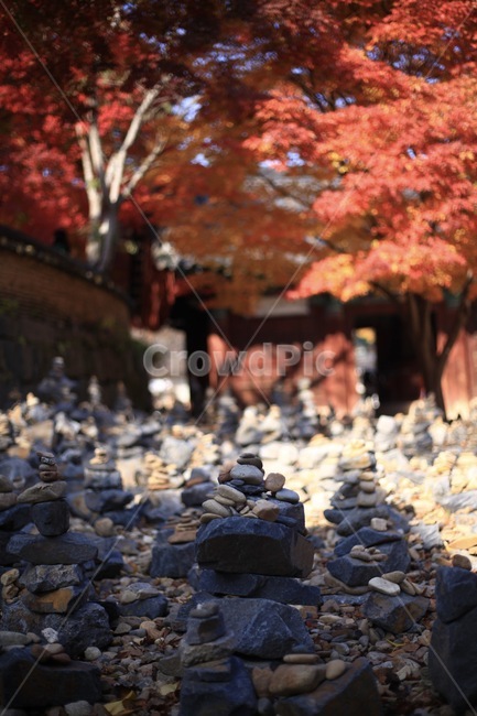 돌,나뭇잎,나무,자연,땅,돌맹이,돌담,단풍,단풍잎,가을,계절,fall,autumn,season,종교,신앙,religion,belief,faith,rubble,파편,tree,plant,식물