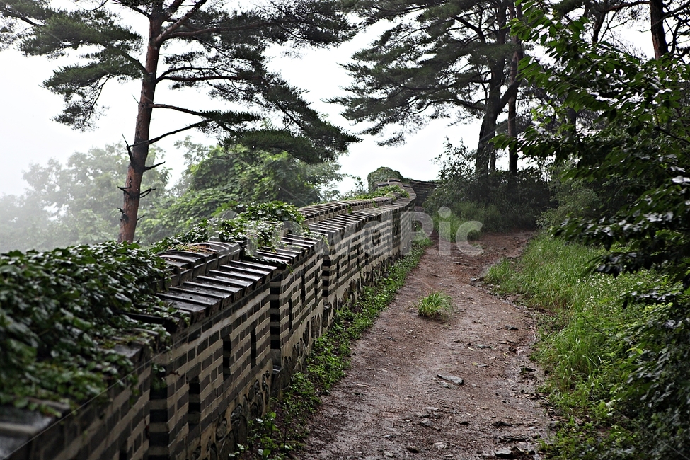 남한산성,성,성곽,길,둘레길,숲,숲길,안개,벽,방어벽,돌담,담,여름,풍경