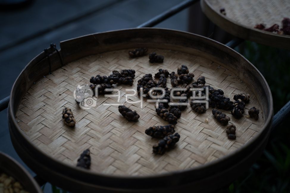 wood,목재,사향고양이,사향커피,커피콩,커피,건조