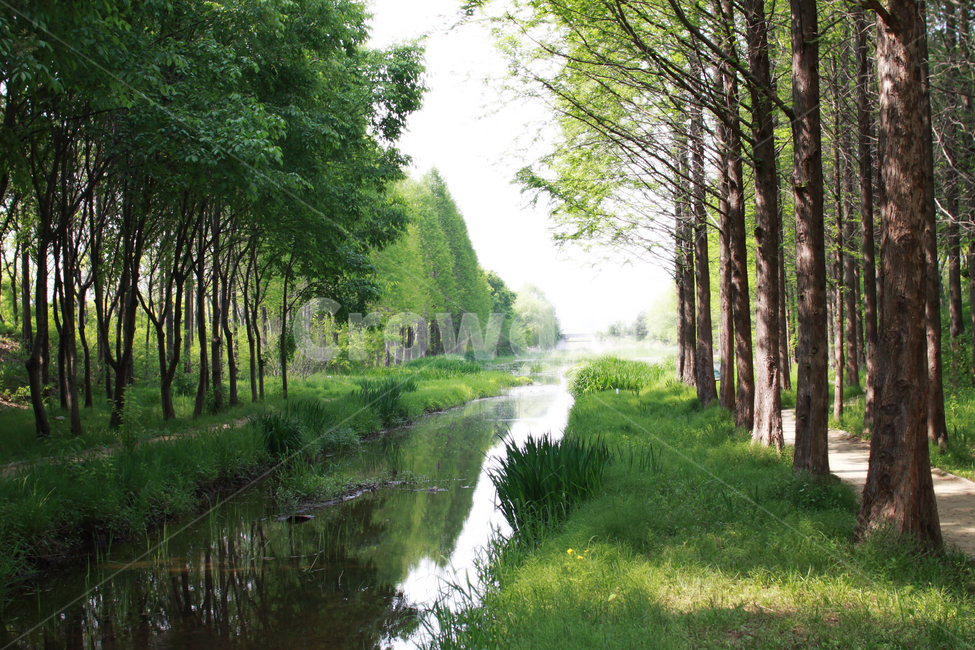경주,숲길,나무와시냇물,푸른숲,풍경,자연,풍경,nature,landscape,outdoors,옥외,water,물