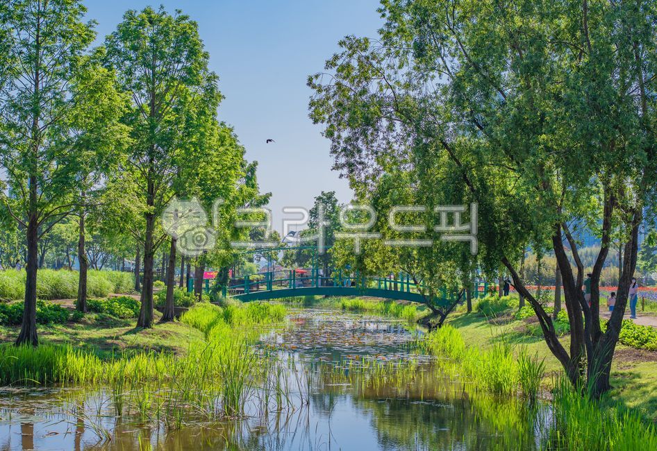 울산,태화강국가정원,태화강봄꽃축제,ulsan,taehwaganggrandpark,다리,bridge,초록,green,nature,자연,water,물