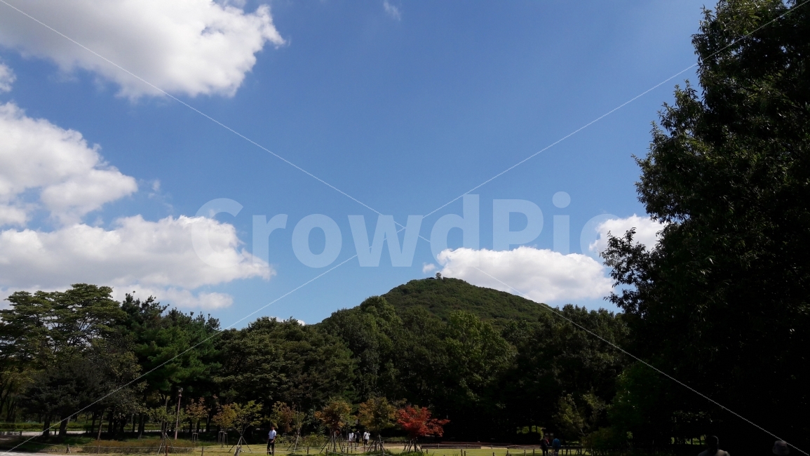 인천대공원,하늘,뭉게구름,파란하늘,나무,자연,풍경,nature,landscape,한국자연풍경,한국자연경관,korea nature landscape,outdoors,옥외,human,인간,person,사람,weather,날씨