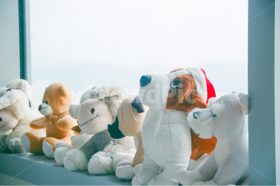 인형,감성,배경,doll,landscape,풍경,물건,사물,things,감성,sensible,feeling,인테리어,실내디자인,interior design,사물,물건,오브젝트,thing,object,matter