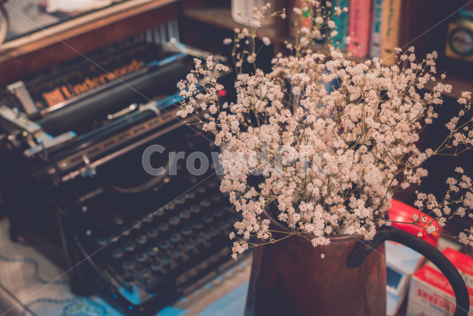 Gypsophila,keyboard,Antique,cafe,flower