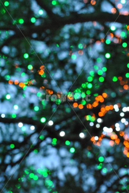 조명,장식,나무,보케,light,빛