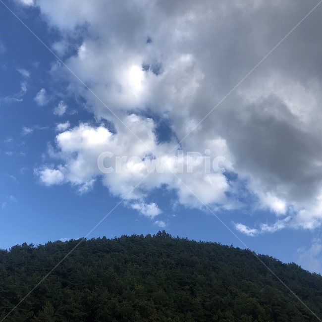 비오기전,구름,하늘,반반,맑은