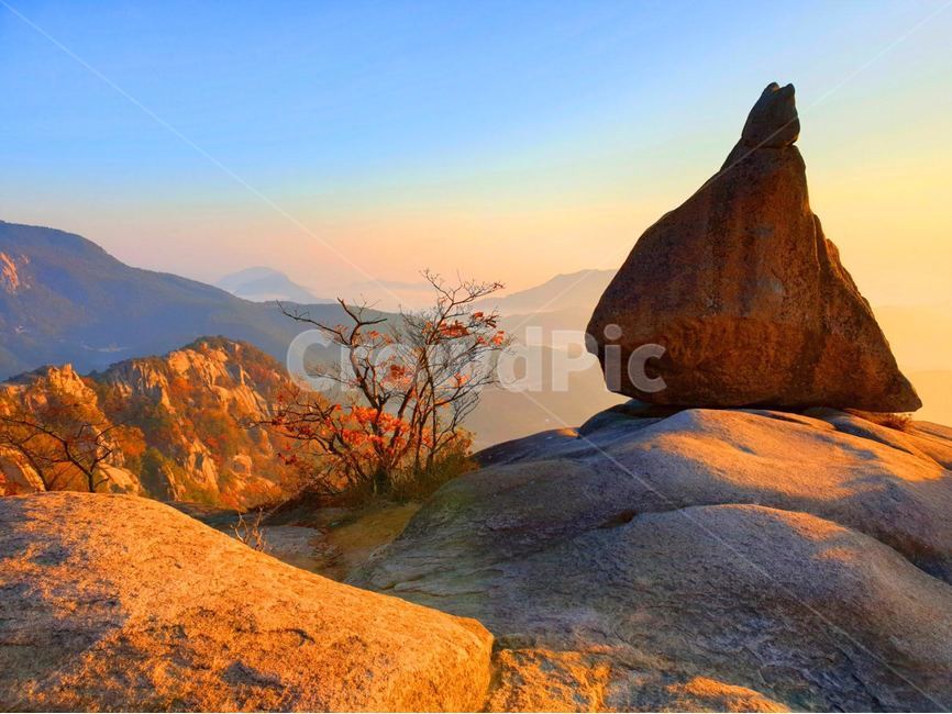 자연,nature,바위,여명,일출,돛대바위,가을,아침