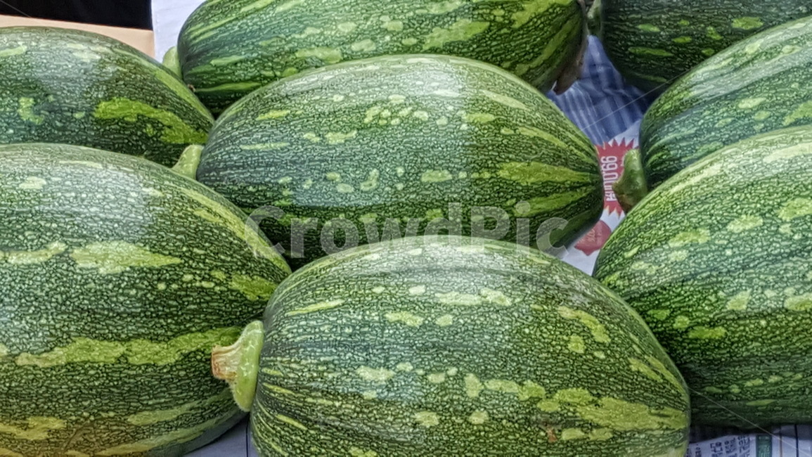 애호박,채소,호박,초록색,녹색,유기농,식재료,요리,농사,음식,농업,food,cook,meal,foodreserves